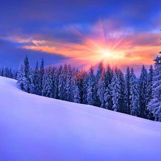 Winter 2048x1152 wallpaper