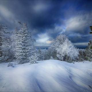 Winter 2048x1152 wallpaper