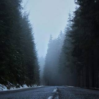 Misty winter day wallpaper