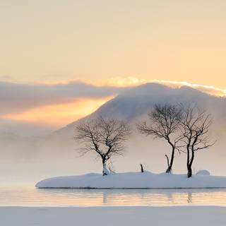 Misty winter day wallpaper