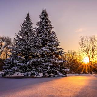 Winter 2048x1152 wallpaper