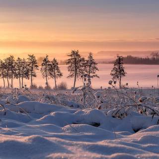 Winter 2048x1152 wallpaper