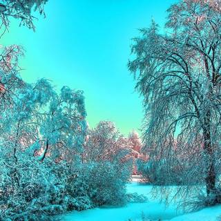 Winter 2048x1152 wallpaper