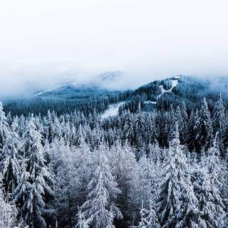 Winter 2048x1152 wallpaper