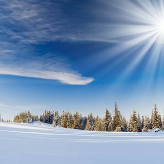 Winter 2048x1152 wallpaper