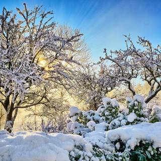 Winter 2048x1152 wallpaper