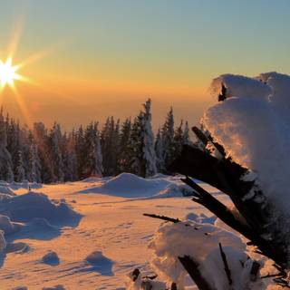 Winter 2048x1152 wallpaper