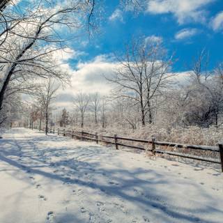 Winter 2048x1152 wallpaper