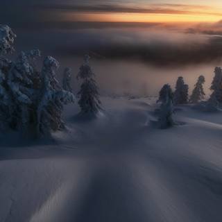 Winter 2048x1152 wallpaper