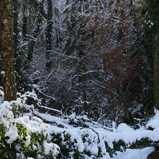 Winter 2048x1152 wallpaper