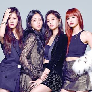 Blackpink 2024 wallpaper