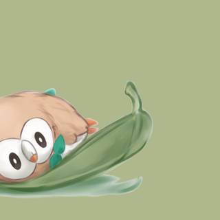 Pokémon Rowlet wallpaper