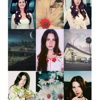 Lana Del Rey Lust For Life wallpaper
