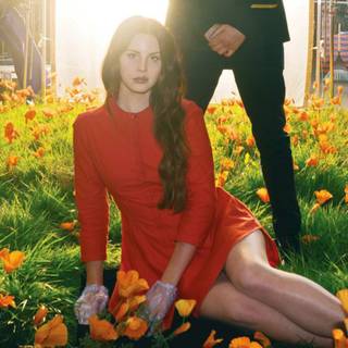 Lana Del Rey Lust For Life wallpaper