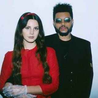 Lana Del Rey Lust For Life wallpaper