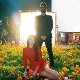 Lana Del Rey Lust For Life wallpaper
