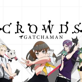 Gatchaman Crowds wallpaper