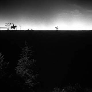 The Night of The Hunter wallpaper