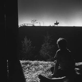 The Night of The Hunter wallpaper