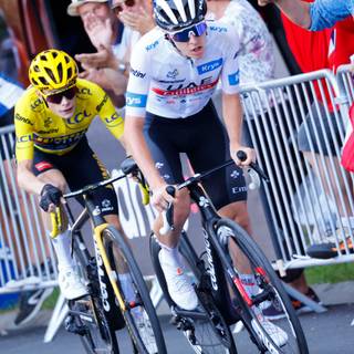 Jonas Vingegaard wallpaper