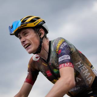 Jonas Vingegaard wallpaper