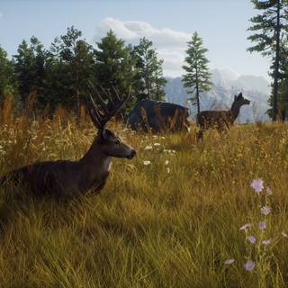 Way of The Hunter wallpaper