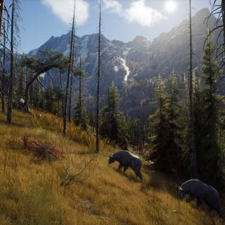 Way of The Hunter wallpaper