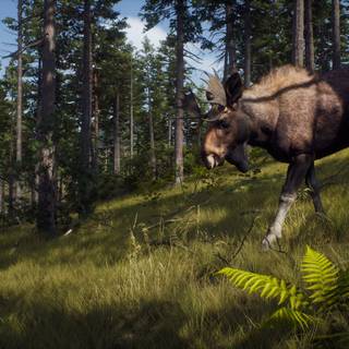 Way of The Hunter wallpaper