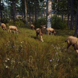 Way of The Hunter wallpaper