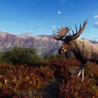 Way of The Hunter wallpaper