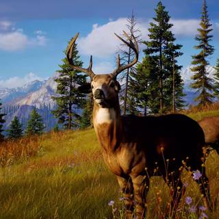 Way of The Hunter wallpaper