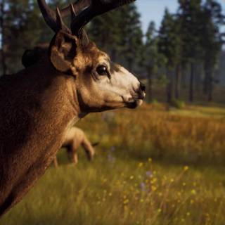 Way of The Hunter wallpaper