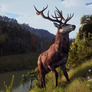 Way of The Hunter wallpaper