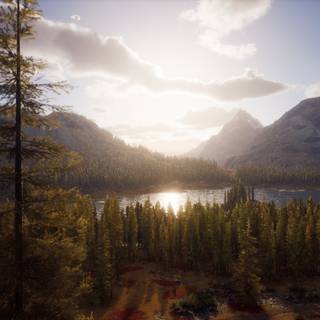 Way of The Hunter wallpaper