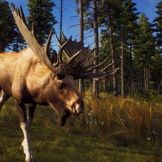 Way of The Hunter wallpaper