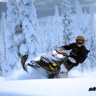 Ski-Doo 850 wallpaper
