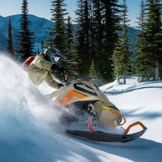 Ski-Doo 850 wallpaper