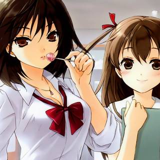 Hatsukoi Limited wallpaper