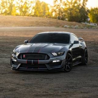 Ford Shelby Cobra wallpaper