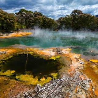 Rotorua wallpaper