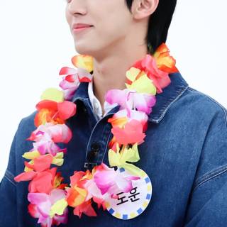 TWS Dohoon wallpaper