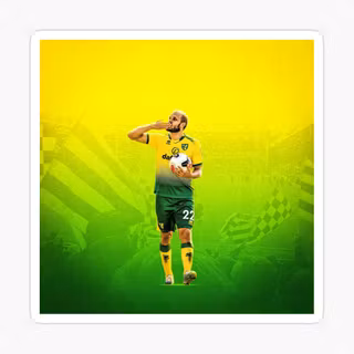 Teemu Pukki wallpaper