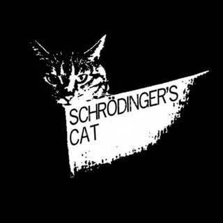 Schrödinger's cat wallpaper