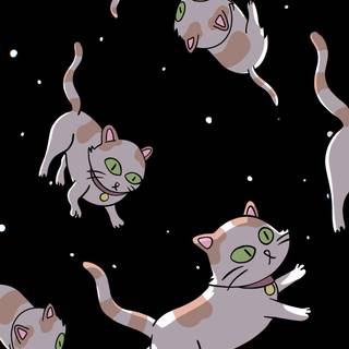 Schrödinger's cat wallpaper