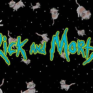 Schrödinger's cat wallpaper