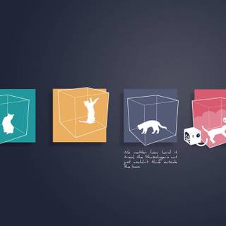 Schrödinger's cat wallpaper