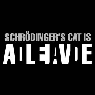 Schrödinger's cat wallpaper