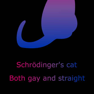 Bisexual cat wallpaper