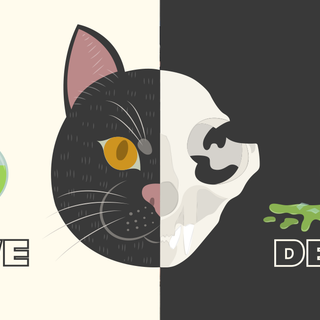 Schrödinger's cat wallpaper