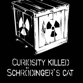 Schrödinger's cat wallpaper
